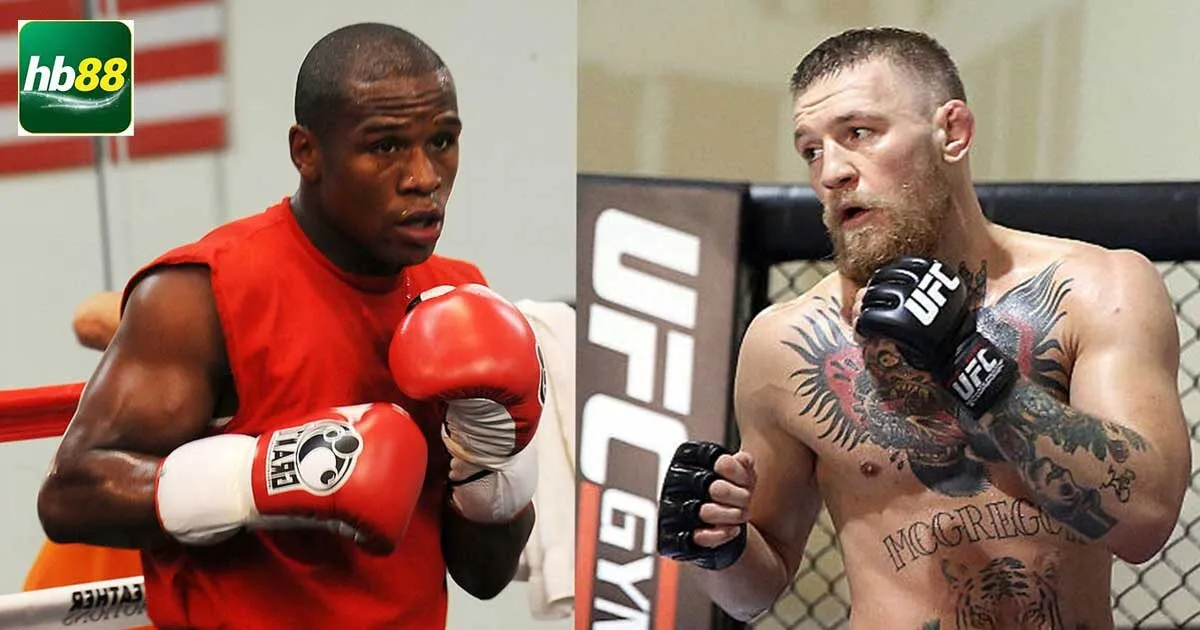 Cá Cược Boxing Online Và Những Điều Cần Biết 1 Cá cược boxing online