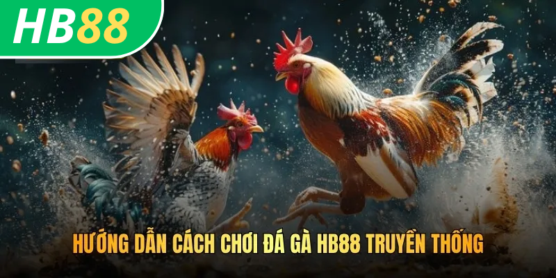 Hướng dẫn cách chơi đá gà HB88 truyền thống