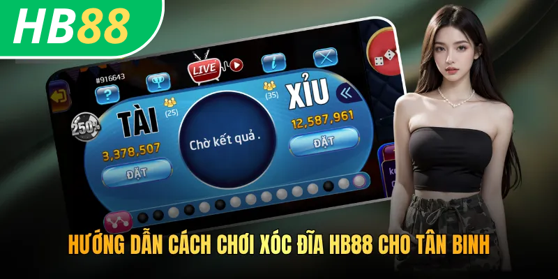Hướng dẫn cách chơi xóc đĩa HB88 cho tân binh