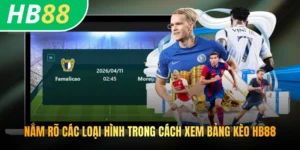 Nắm rõ các loại hình trong cách xem bảng kèo HB88