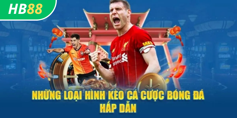 Cá Cược Bóng Đá HB88: Hướng Dẫn Toàn Diện 2 Bóng Đá HB88: Các loại kèo cá cược phổ biến