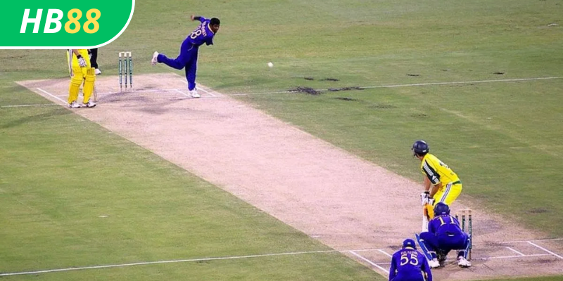 Cá Cược Cricket HB88: Hướng Dẫn Và Mẹo Chơi Thắng Lớn 3 Cricket HB88: Mẹo cá cược cricket hiệu quả tại HB88